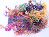 100% Sun-dried Seamoss from Saint Lucia- Various Colors.